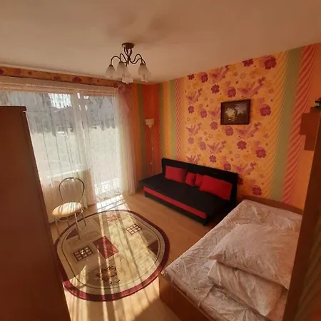 فندق مبيت وإفطار Bosman Władysławowo