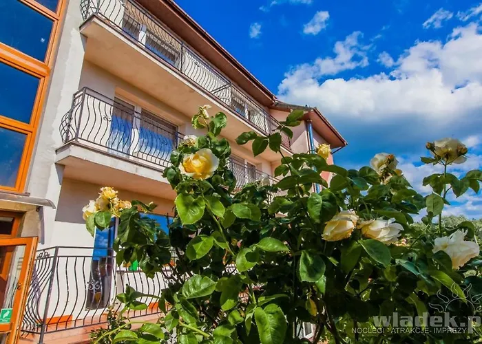 Bosman Władysławowo